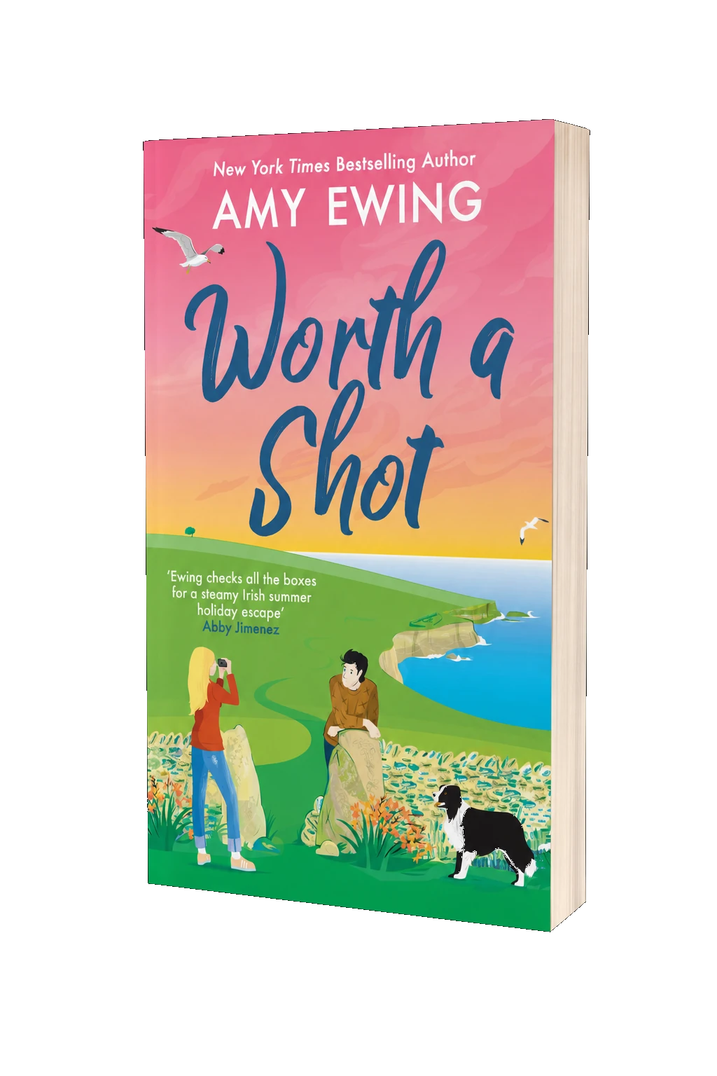 Cover of Worth a Shot, the UK and Ireland edition of The Irish Goodbye
