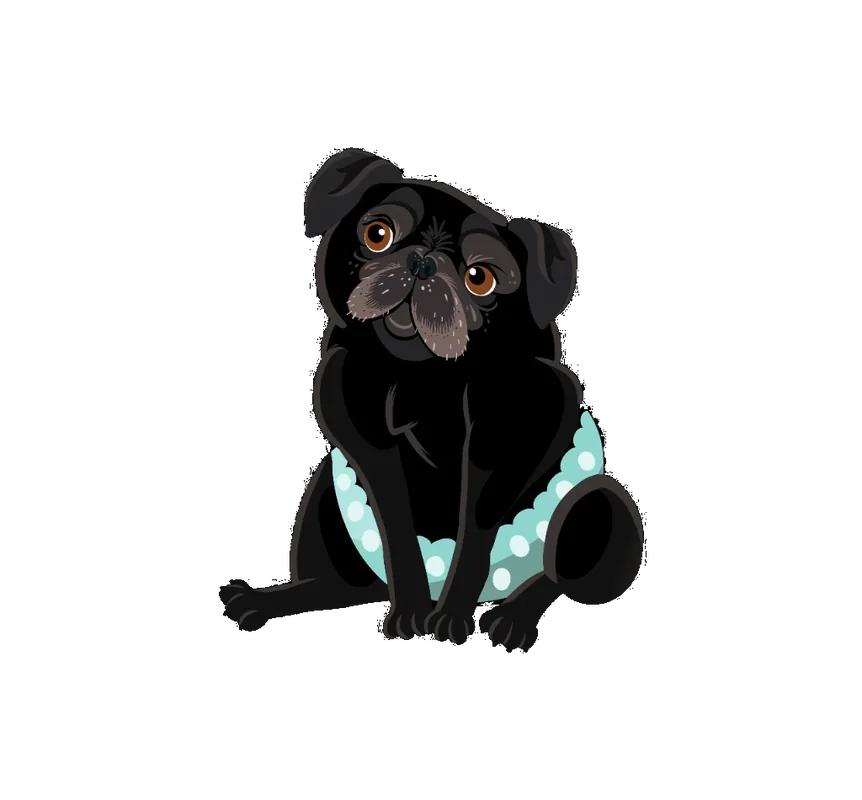 Illustration of Charleston, a black pug sitting in a polka-dot diaper