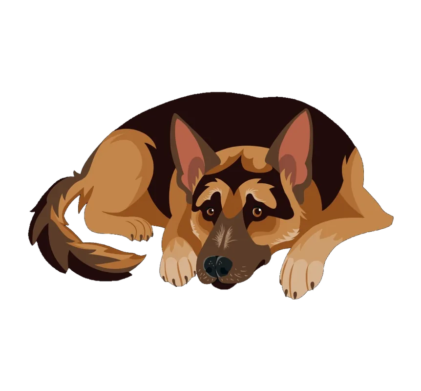 Illustration of Colonel, a German Shepherd