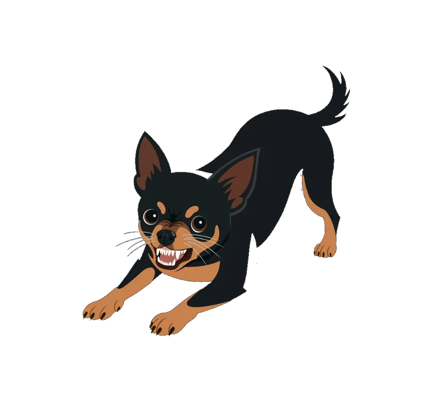 Illustration of Pip, a small black and tan Chihuahua